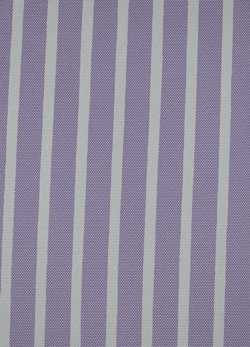 Purple Striped Oxford Shirt